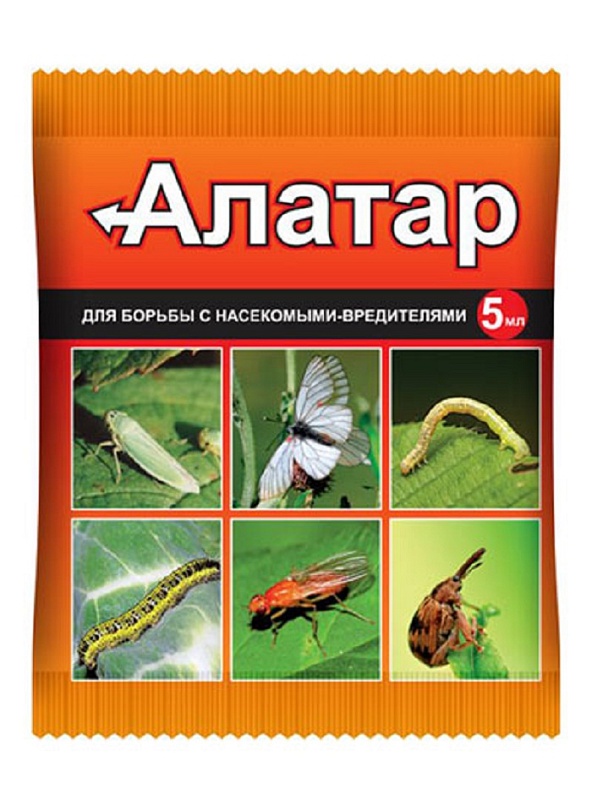 Алатар 